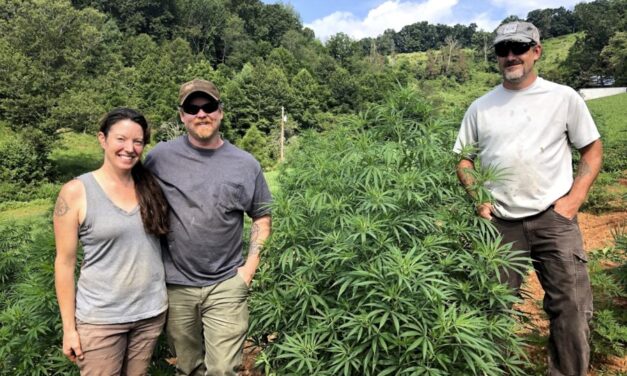 In Madison County, hemp is here to stay