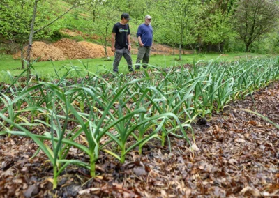 After Helene, Growers Look at Alternative Crops with Extension’s Help
